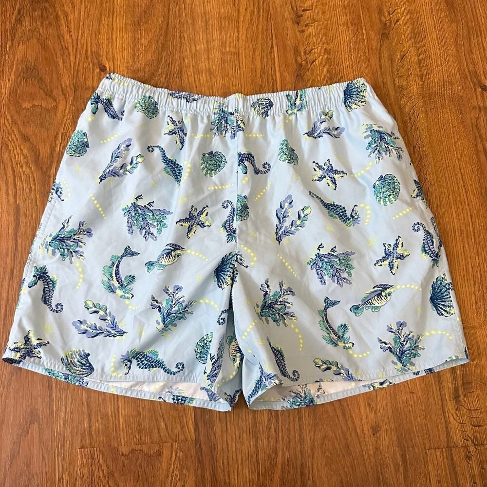 Brooks Brothers swim trunks
